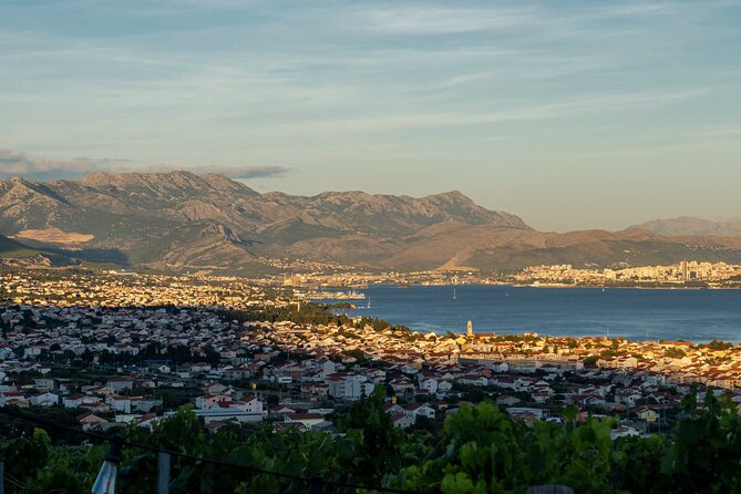 Vineyard Experience: Wine Tasting near Split - What to Expect During the Wine Tasting