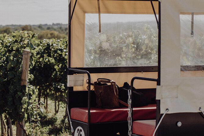 Vineyard tour and wine tasting in Davron - The Guide: Knowledgeable and Engaging