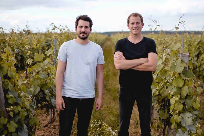 Vineyard tour and wine tasting in Davron - Pricing, Booking, and Cancellation Policies