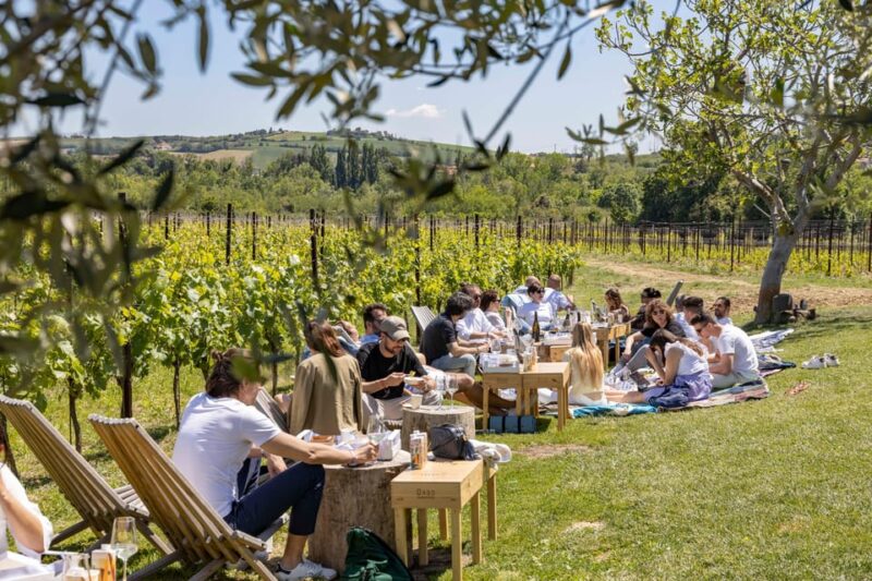 Vineyard Tour and Winery Visit with Tasting of Wines of Romagna - Introduction to Enio Ottaviani: A Family Legacy in Romagna Wines