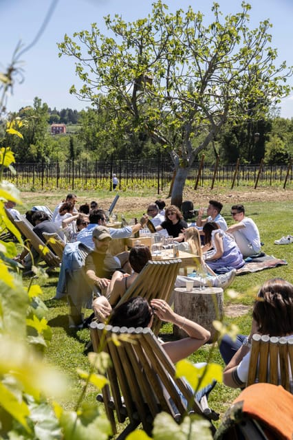 Vineyard Tour and Winery Visit with Tasting of Wines of Romagna - The Guided Tour: From Vineyard to Bottling