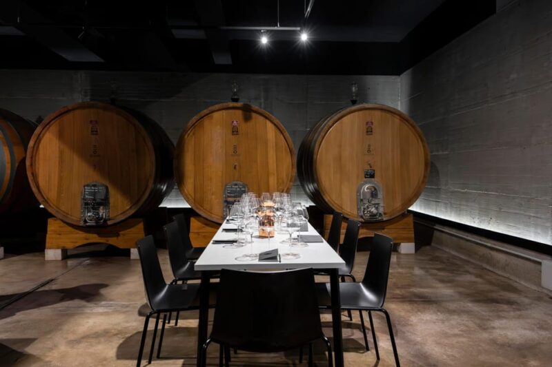 Vineyard Tour and Winery Visit with Tasting of Wines of Romagna - The Authentic Flavor of Romagna Wines