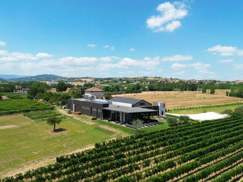 Vineyard Tour and Winery Visit with Tasting of Wines of Romagna - Practical Details: Logistics and Accessibility