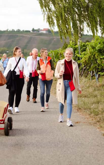 Vineyard tour around Nordheim am Main on the Main Loop - Experience the Charm of Nordheim am Main on a 2.5-Hour Vineyard Tour