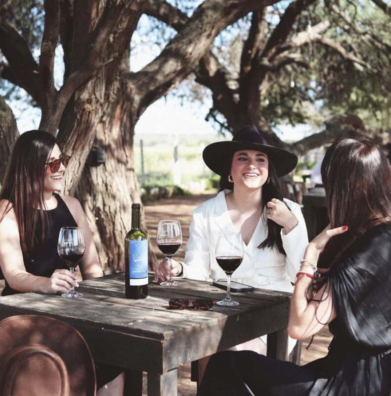 VINEYARD TOUR - Discover the Best Vineyards in Zacatecas with a Guided Tour