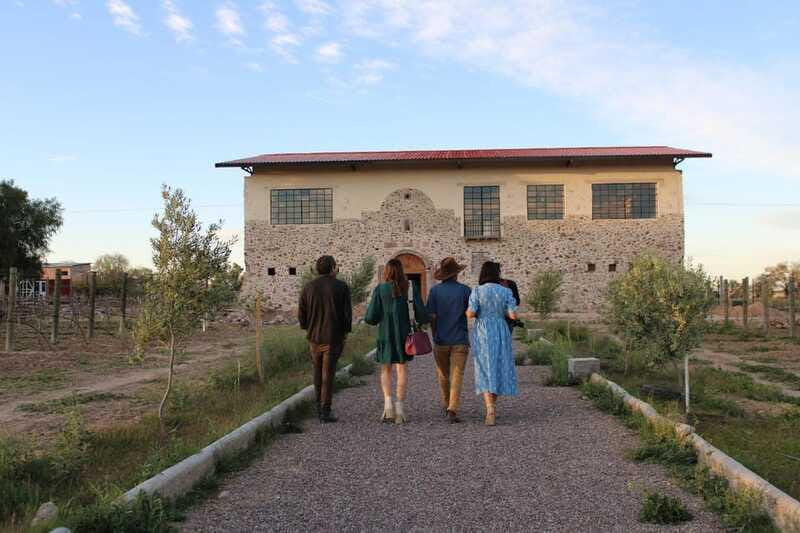 VINEYARD TOUR - Why Choose This Vineyard Tour in Zacatecas?