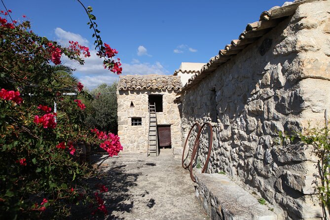 Vineyard Tour, Wine and Sicilian delicacies tasting at a Winery in Agrigento - Key Points