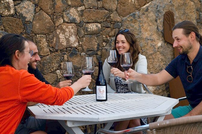 Vineyard tour with wine tasting and local products - Explore Fuerteventuras First D.O. P Winery with a Unique Vineyard Tour