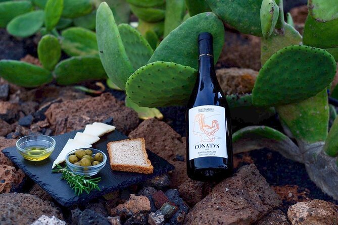 Vineyard tour with wine tasting and local products - Key Points