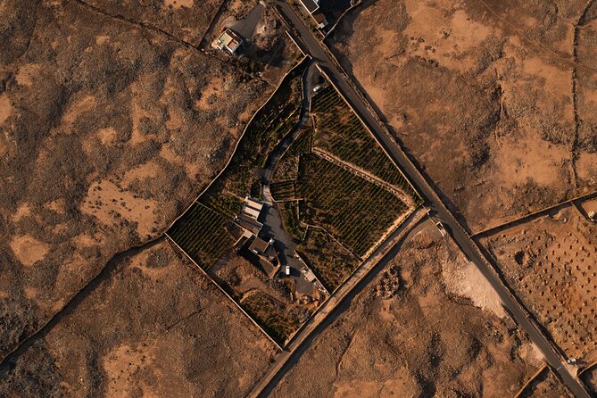 Vineyard tour with wine tasting and local products - Overall Value and Recommendations for Visitors