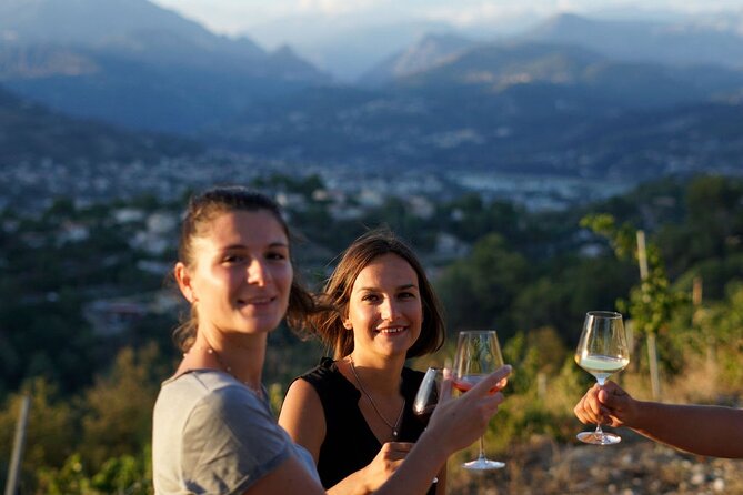 Vineyard Tour with Wine Tasting within Nice city borders - Key Points