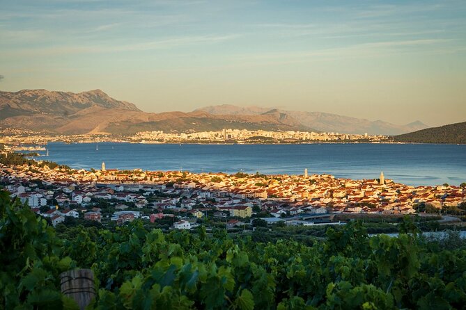 Vineyard Wine Tasting Experience with a Sea view from Split - Practical Aspects and Booking Information
