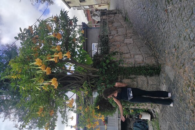 Vinho Verde 2 Wineries + Cultural Guimarães - Private/from Porto - Who Will Love This Tour?