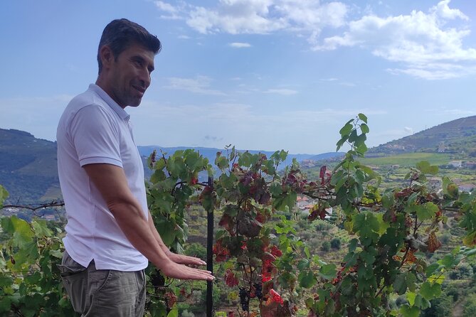Vinho Verde 2 Wineries + Cultural Guimarães - Private/from Porto - Final Thoughts on the Vinho Verde and Guimarães Tour