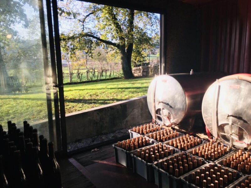 Vinho Verde 2 Wineries + Guimarães - from Porto - Discovering the Vinho Verde Region and Guimarães