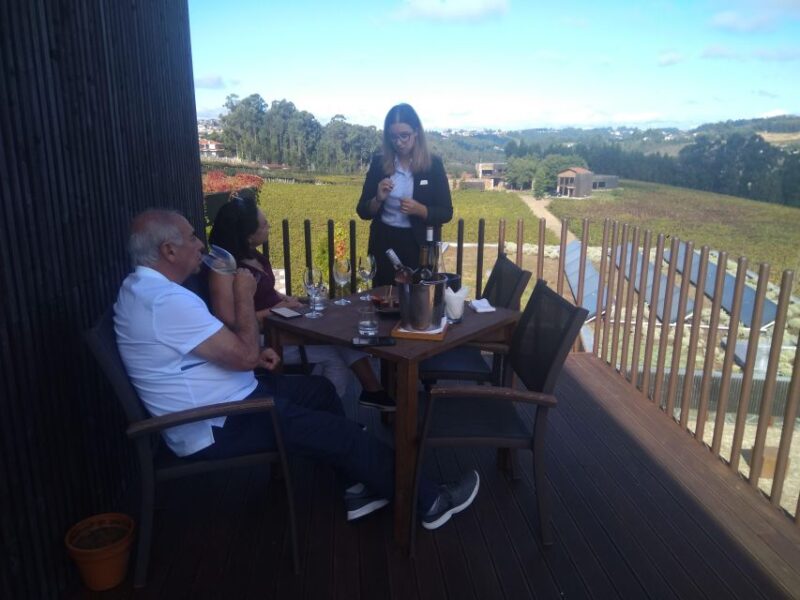 Vinho Verde 2 Wineries + Guimarães - from Porto - Suitability and Recommendations