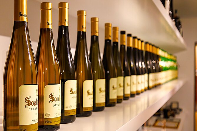 Vinho Verde Experience with 2 Wineries and Lunch - What’s Included and What to Keep in Mind