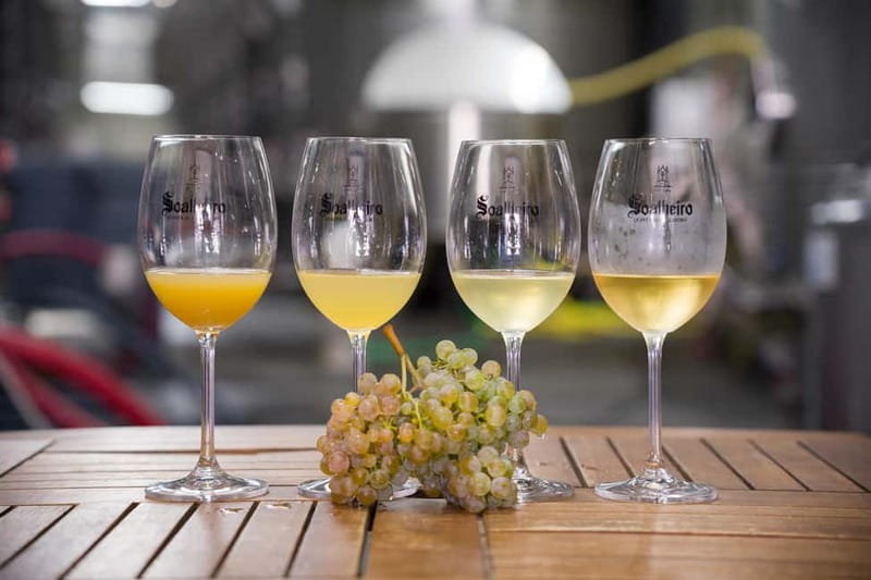 Vinho Verde: Private Wine Tasting w/ Tapas & Fortress Visit - Explore the Unique Flavor of Vinho Verde in Portugals Green Wine Region