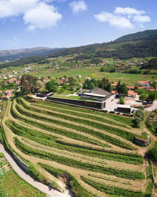 Vinho Verde: Private Wine Tasting w/ Tapas & Fortress Visit - Valença Fortress and Old Town Overlooking the River Minho