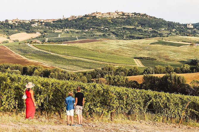 Vino Nobile di Montepulciano Wine Tour - Meet the producers - Key Points