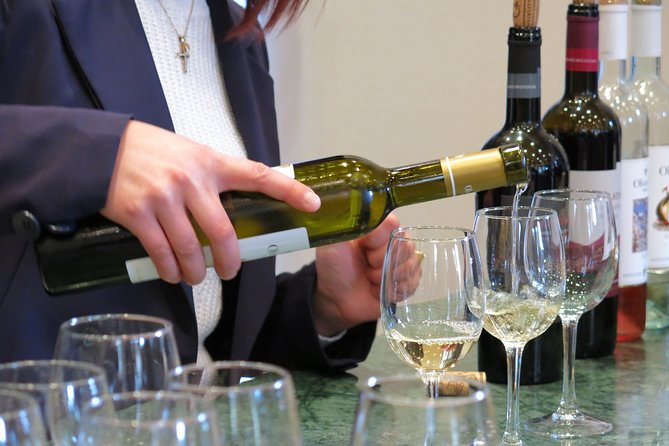 Vino Venture: Explore With A Local - Troodos Mountains thru Wine! - The Guide and Tour Pacing