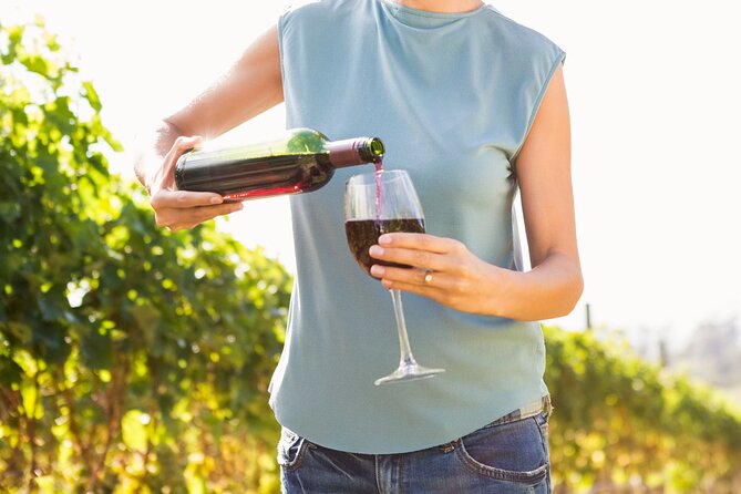 Vino Venture: Explore With A Local - Troodos Mountains thru Wine! - The Tour Starts in Limassol with Convenient Pickup