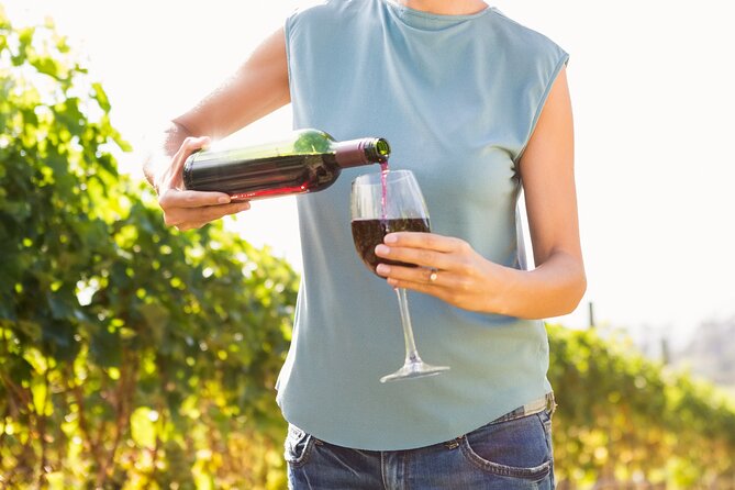 Vino Venture: Explore With A Local - Troodos Mountains thru Wine! - Explore Cyprus Wine and Villages on a 7-Hour Troodos Mountain Tour