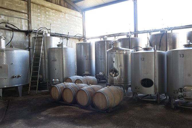 Vino Venture: Explore With A Local - Troodos Mountains thru Wine! - Key Points