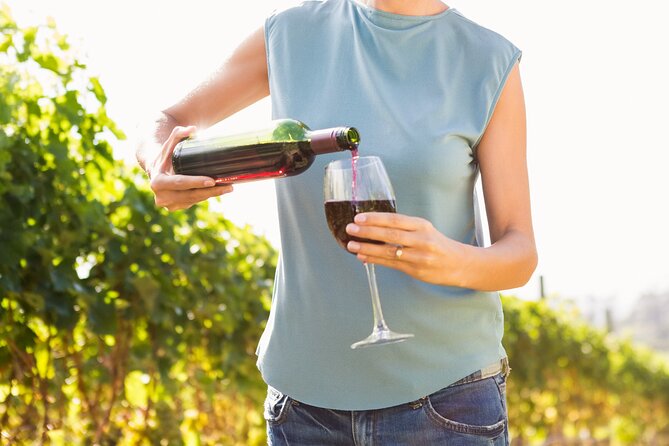 Vino Venture: Explore With A Local - Troodos Mountains thru Wine! - Key Points