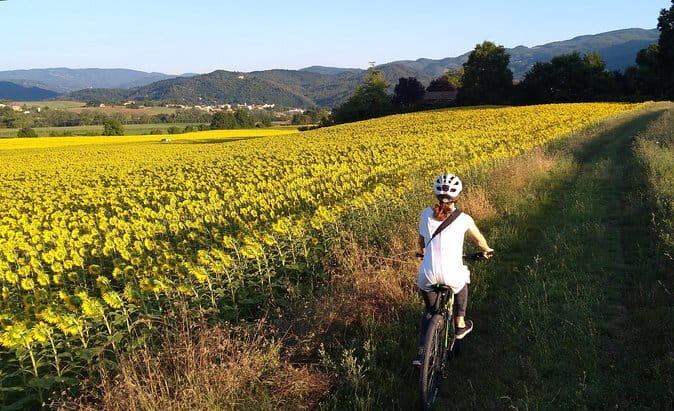 Vintage Fiat 500 Chianti Classico Wine Tour and Tuscan Lunch - The Guides and the Vintage Car Experience