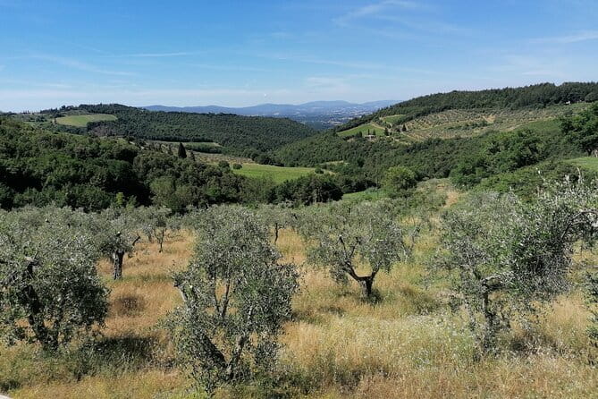 Vintage Fiat 500 Experience in the Florentine Hills - Practical Details and Booking Information