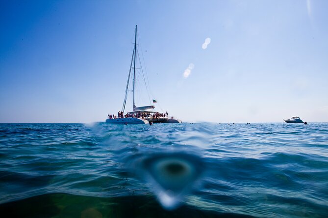 VIP Catamaran 4 hour Activity with Snorkeling in Bulgaria - Weather and Wildlife Considerations