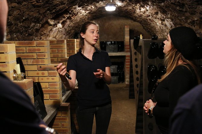 VIP Champagne Region Day Trip with 7 Tastings & Lunch from Paris - Afternoon Visit to a Family-Owned Champagne House