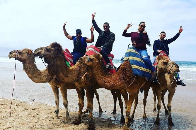 Vip Full Day Private Tangier Tour From Malaga All Inclusive - Departing from Malaga: Ferry to Tangier and Scenic Drive