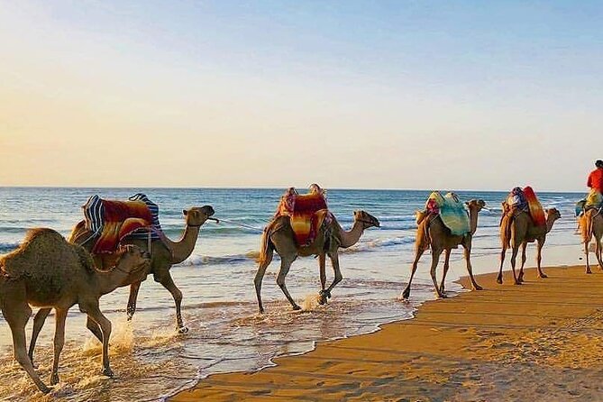 Vip Full Day Private Tangier Tour From Malaga All Inclusive - Discovering Tangier’s Cultural Landmarks