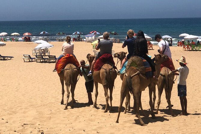 Vip Full Day Private Tangier Tour From Malaga All Inclusive - Key Points