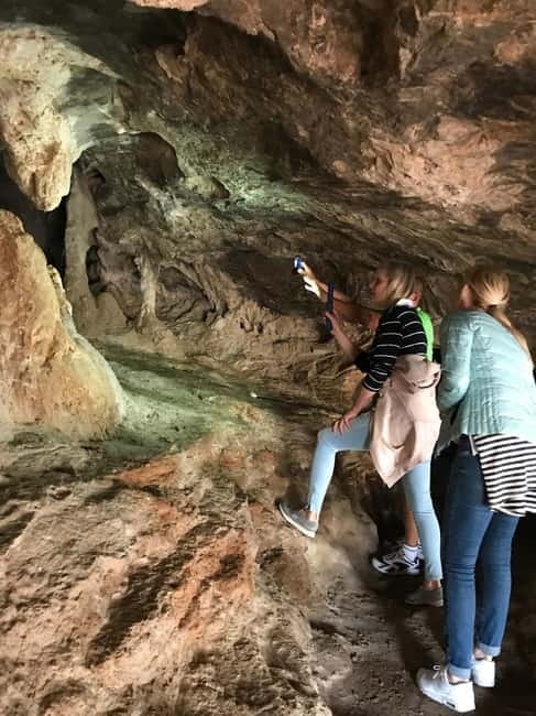 VIP Full-Day Private Tour (See the best with Professionals) - Accessibility and Booking Flexibility