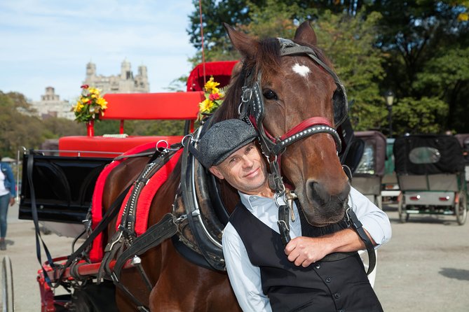 VIP Horse Carriage Ride through Central Park (Up to 4 Adults) - Weather Preparedness and Comfort Features