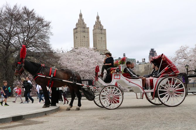 VIP Horse Carriage Ride through Central Park (Up to 4 Adults) - The Experience of the Guide and Driver