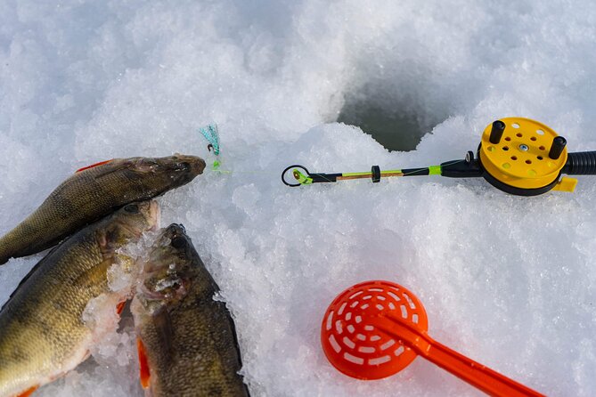 VIP Ice Fishing "ICEBREAKER" Lunch in Glass Igloo - Flexibility and Cancellation Policy