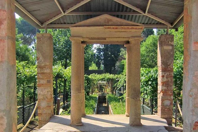 VIP Pompeii Tour including Newly Opened Houses With Archaeologist - The Expert Guide’s Role in Enriching the Visit