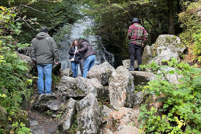 VIP Private Alaska Native Excursion (Cultural, Scenic Experience) - Wildlife Sightings: Eagles, Bears, Whales, and Salmon