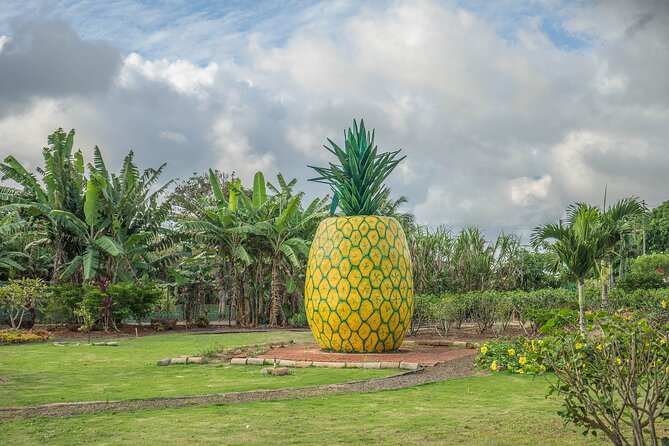 VIP Private Limousine Tour: Scenic Oahu Island Sites - Haleiwa Beach and Surfing Scene