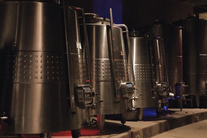 VIP Tasting - What Makes This VIP Wine Tasting Unique in Ensenada