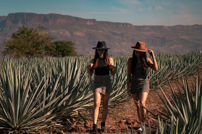 Vip Tequila Experience - The Final Stop at Cantaritos El Güero