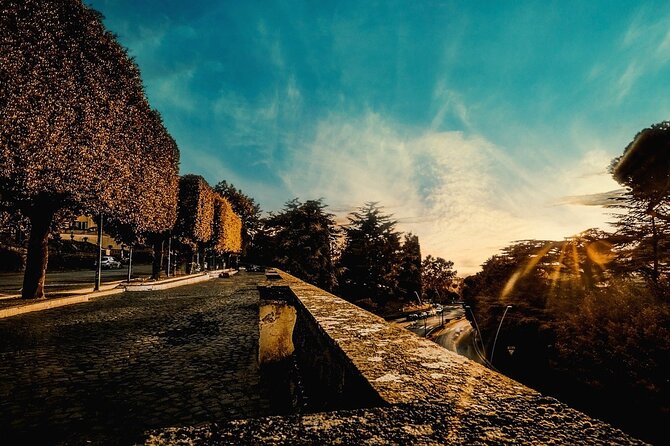 VIP Tour of the Roman Castles - Key Points