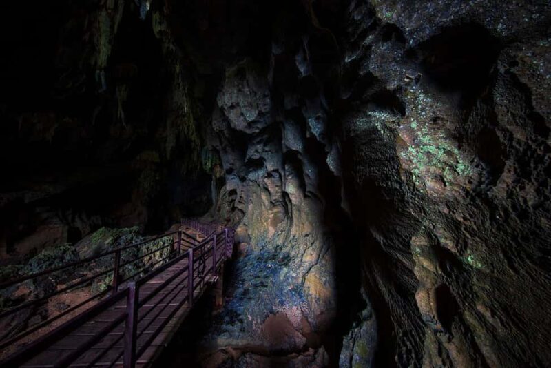 Vip Tour Phong Nha: Paradise Cave & Dark Cave Private Tour - What to Bring and Special Considerations