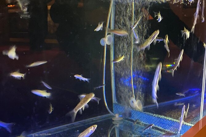 VIP Turkish Bath in Alanya - Convenient Pickup and Location in Alanya