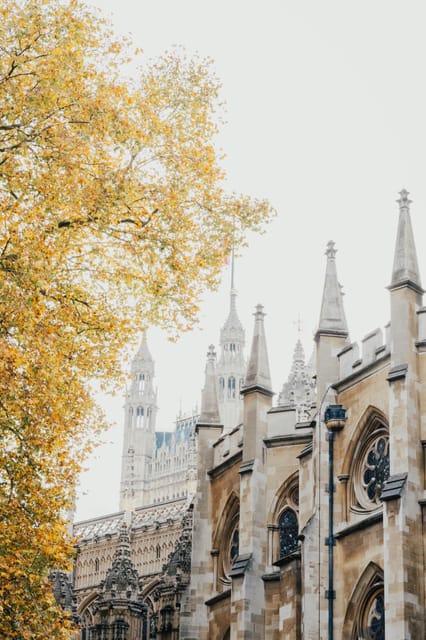 VIP Westminster Abbey & Upper Gallery and Buckingham Palace - Limitations and Considerations