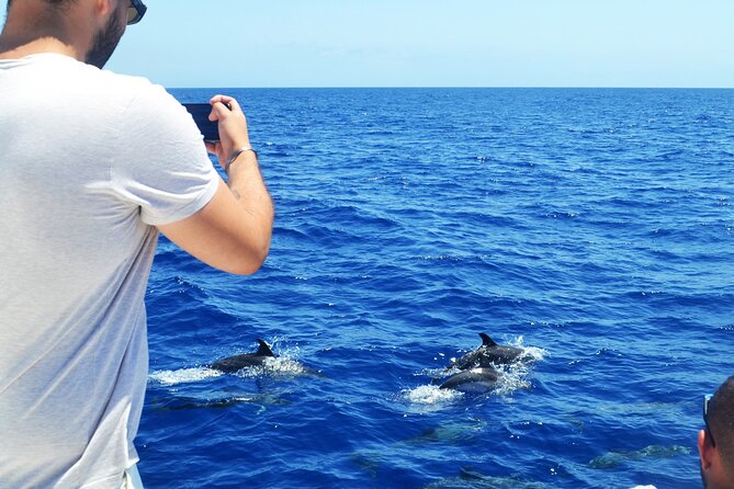 VipDolphins Luxury Whale Watching - The Crew’s Expertise and Service Style